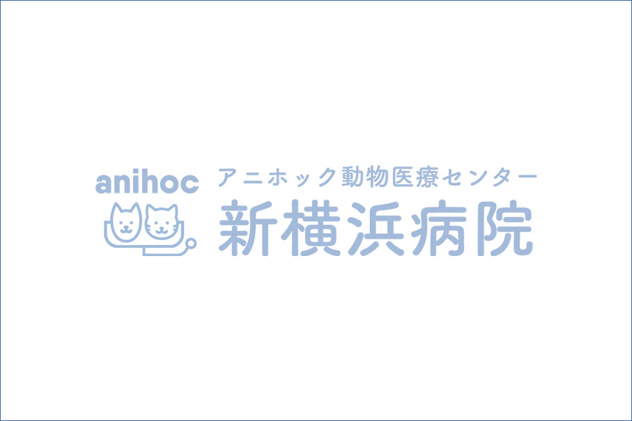 サンプル