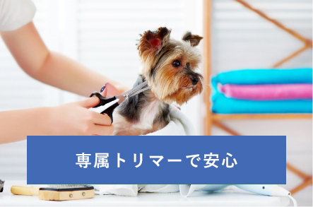 トリミング専属のスタッフで安心